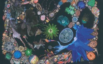 Joób Olivér Közösség című kötete borítójának részlete