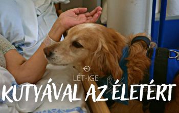 indexkép: Lét-Ige - Villő és Füge