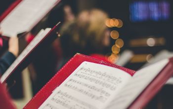 kotta - fotó: David Beale / Unsplash.com