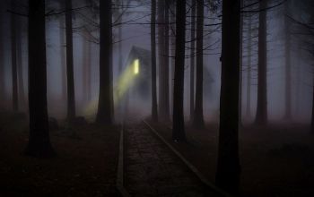 világító ablak sötét erdőben