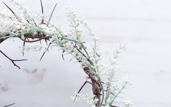 virágzó töviskoszorú