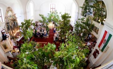 Pünkösd: zöldágazás hagyománya a maglódi evangélikus templomban