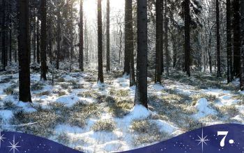 Adventi kalendárium 7. Lelki és szellemi útravaló a karácsonyig vezető útra