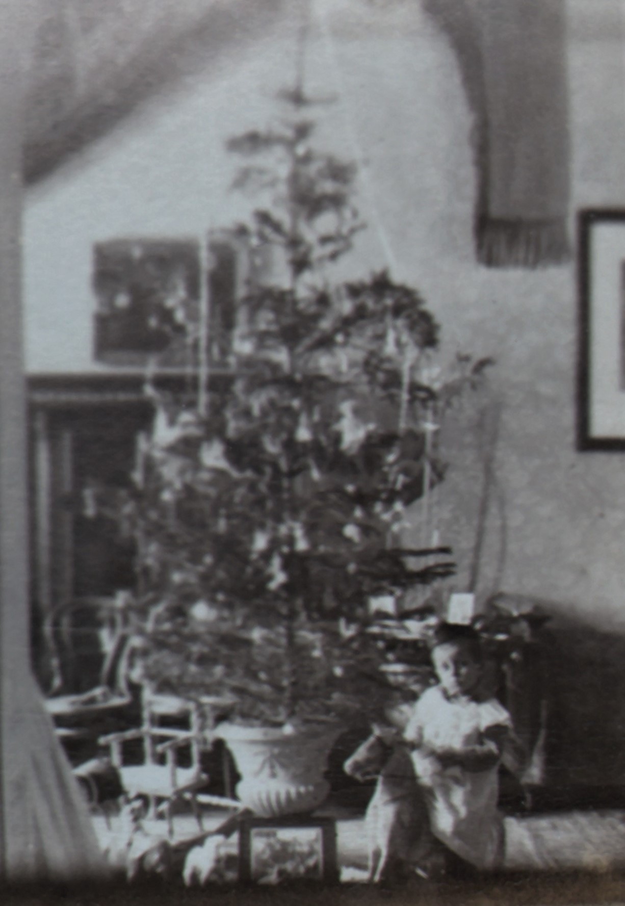 Thesaurus Ladics unoka 1902 ben