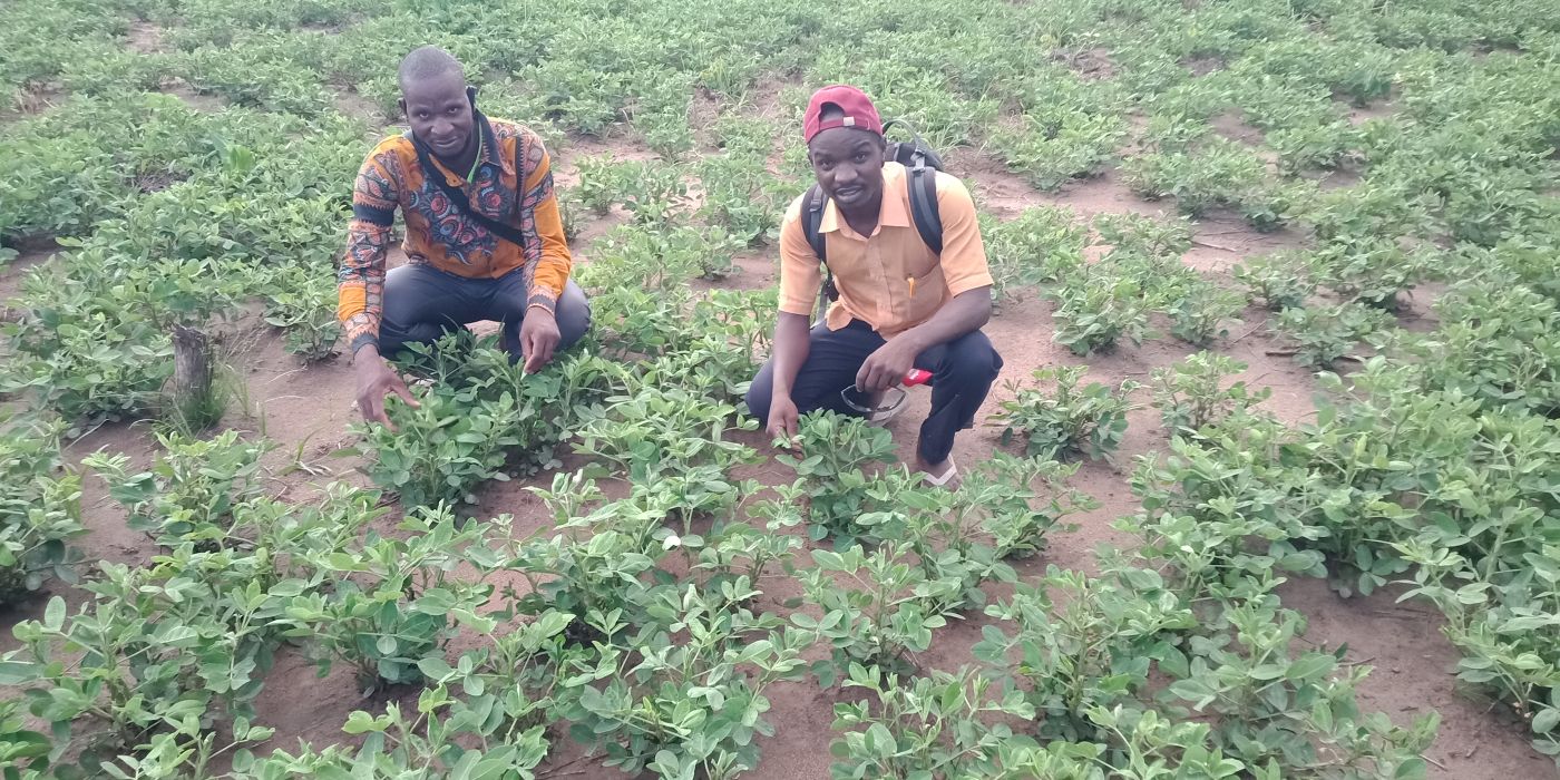 EKME cikk Agro Lutero