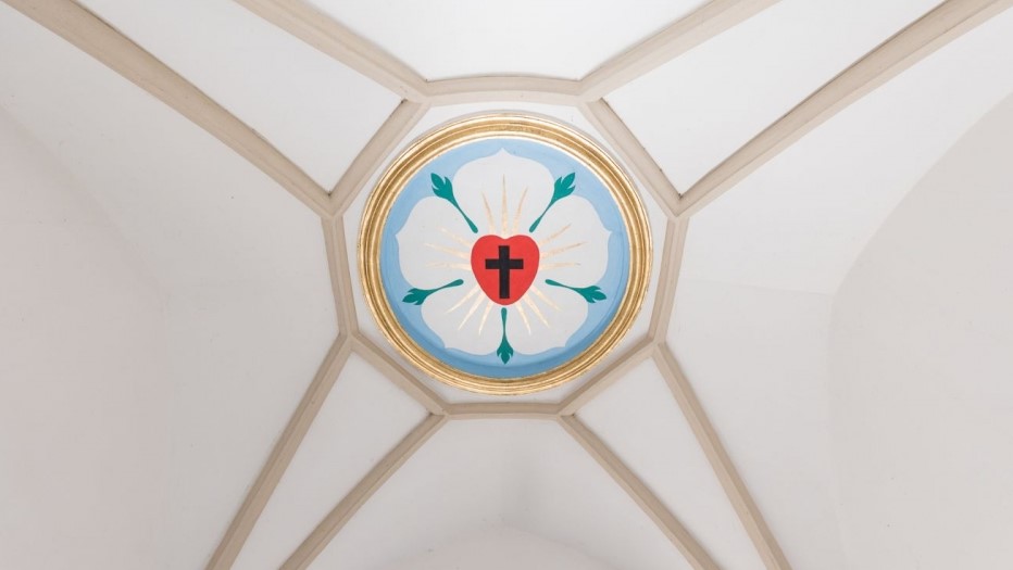 Luther rozsa Szarvas Ujtemplom foto Magyari Marton