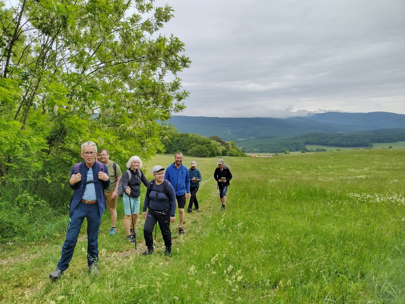 norveg zarandoklat foto 4
