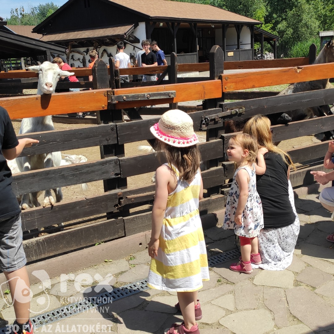 pesti egyhazmegye misszioi nap 4