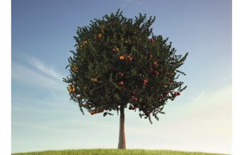 Élő víz - Gáncs Tamás jegyzete