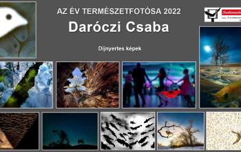 Daróczi Csaba díjnyertes fotói